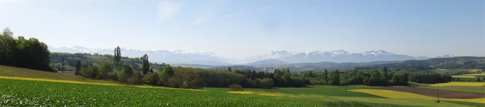 Campagne vaudoise et chaîne des Alpes vues depuis les hauteurs de la Broye