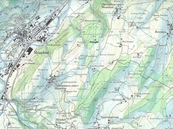Carte topographique de Chavannes-sur-Moudon et des communes voisines